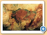 2.1.01-Cueva de Altamira (Santillana-Santander) (5)-Bisonte